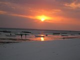   : Zanzibar 2011